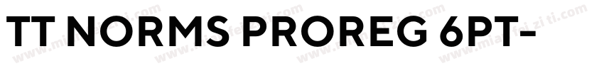 TT NORMS PROREG 6PT字体转换